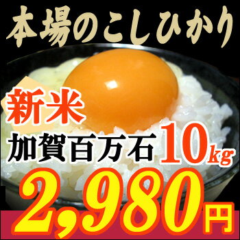 【22年産新米！】大特価！10kg2,980円！魚沼産コシヒカリに勝るとも劣らない！コシヒカリの本場から美味しいお米をお届けします！【加賀百万石】石川県産コシヒカリ「絢爛」