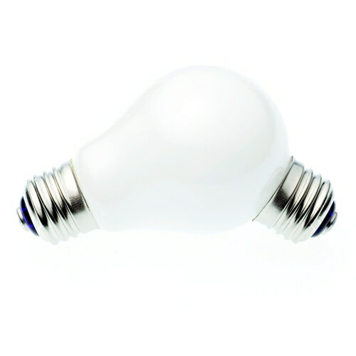 100%Lamp/Lampランプ 電球による電球？デザイン電球