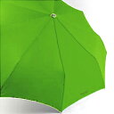ダベック トラベラー ニューヨーク 自動開閉式 折りたたみ傘 生涯保証付 グリーン 緑Davek Travelerアンブレラ オシャレ傘 人気 おすすめ 【RCP】【新入学】【新社会人】【景品】【新生活】