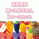 【エルビー】ソフトドリンク 送料無料 選べる2ケースセット (24本入 x 2ケース)【送料無料】【楽天最安値に挑戦】【RCP】