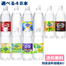 <strong>ウィルキンソン</strong> 炭酸 タンサン 500ml PET 選べる 2ケースセット（48本入）【<strong>ウィルキンソン</strong>】【炭酸水 炭酸】【送料無料】【別途送料地域あり】