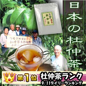 杜仲茶 日本の杜仲茶3g×60包 まろやかでおいしい♪国産 杜仲茶 杜仲葉茶