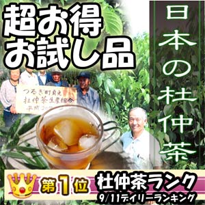 杜仲茶 【国産　日本の杜仲茶】[レビュー必須お試し品][期間限定 3g×3包 ダイエット 杜仲葉茶 トチュウ茶 とちゅう茶 杜仲茶杜仲茶 日本の杜仲茶 送料無料! 超お得! ダイエット !こだわりの原料の日本の杜仲茶は、まろやかで飲みやすい、とってもおいしい 杜仲茶 に仕上げています。