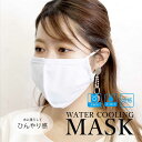 ショッピング冷感 接触冷感 濡らして使うマスク 洗える ひんやり 冷却 洗えるマスク 布マスク メッシュ ウォータークーリングマスク