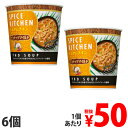 【賞味期限:19.04.03】日清食品 スパイスキッチン トムヤムチキンフォースープ ココナッツマイルド 32g×6個