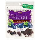 明治 チョコレート効果レーズンパウチ 30g