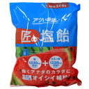 サラヤ Gains 匠の塩飴 スイカ味 750g