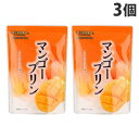 蔵王高原農園 マンゴープリン 180g×3個