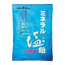 サンプラネット サヤカ ミネラル塩飴 うめ味 60g