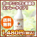 液体肥料の革命!家庭菜園、プランター栽培、ガーデニング栽培を行う方用。リン酸系液体肥料 甘彩六花(アマイロリッカ)【スプレーボトル】トマト、きゅうり、イチゴ、たまねぎ、花、柑橘系によく効く液肥!