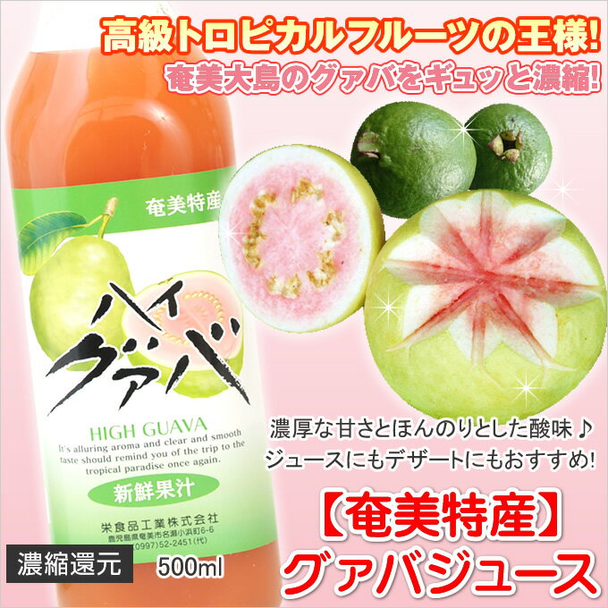 グァバ / グァバ / グァバジュース / 奄美グアバジュース500ml【栄食品】【ハイグ…...:amamio-shima:10000071