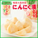 漬物 / 漬物 / にんにく / 奄美大島特産にんにく塩漬け(竹山食品)400g【ニンニク】【大蒜】【塩漬け】【漬物】【漬けもの】【漬け物】【お土産】【奄美】【土産】【奄美大島】【奄美土産】【鹿児島土産】【鹿児島】【鹿児島_物産展】【奄美大島お土産】