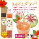 グアバ/ フルーツジュース / 奄美グアバジュース500ml箱入り【まんまる工房】【奄美大島】【グァバジュース】【ぐあば】【じゅーす】【濃縮還元】【楽ギフ_包装】【楽ギフ_のし宛書】【お土産】【奄美大島】【奄美土産】【鹿児島】【奄美大島お土産】