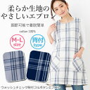 【メール便対応】ウォッシュチェック背付フルボタンエプロン/M-Lサイズ171045/ワンピース/かわいい/保育士/かぶるだけ/脇ボタン/母の日