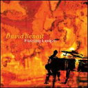【メール便送料無料】David Benoit / Fuzzy Logic (輸入盤CD) (デヴィッド・ベノワ)