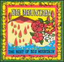 Big Mountain / Best Of (輸入盤CD)