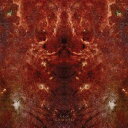 【輸入盤LPレコード】【送料無料】Ken Camden / Space Mirror