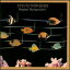 yRB^Hip-HopFXzXeB[B[E_[Stevie Wonder / Original Musiquarium I(CD) (...