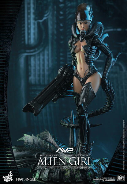 【ホット・エンジェル】『AVP』1/6スケールフィギュア エイリアン・ガール[ホットトイズ]【同梱不...:amiami:10935407