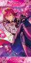 あんさんぶるスターズ! ビジュアルバスタオルVol.4 34...