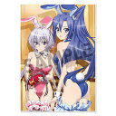 戦姫絶唱シンフォギアXD UNLIMITED ビジュアルアク...