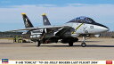 1/72 F-14B トムキャット “VF-103 ジョリー ロジャース ラストフライト 2004” プラモデル[ハセガワ]《03月予約》