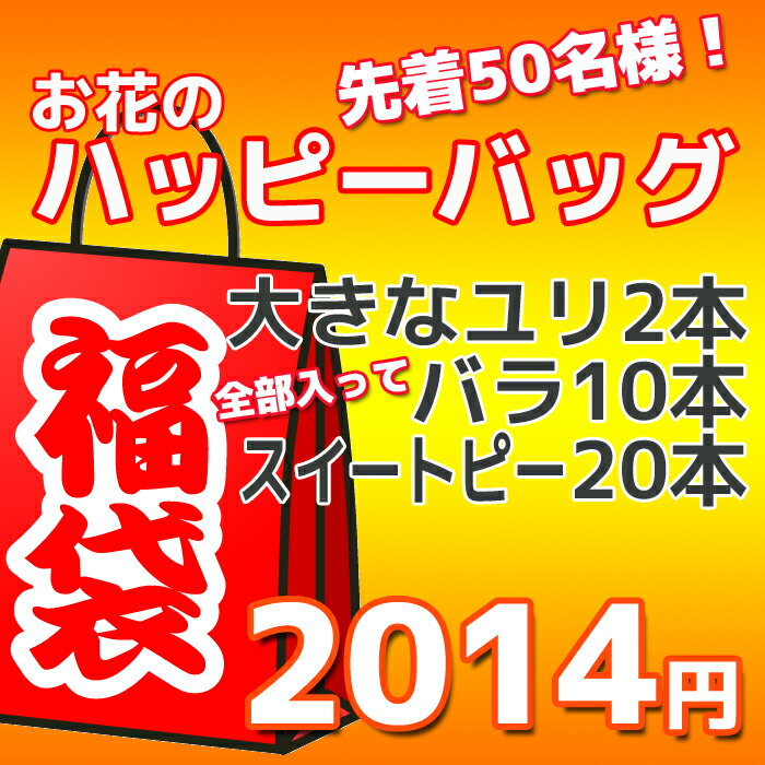 2014 福袋 花 ユリ スイートピー バラ 送料無料 2014福袋馬コース！福袋 送料無料 ユリ スイートピー バラ 店頭価格の65％OFF！