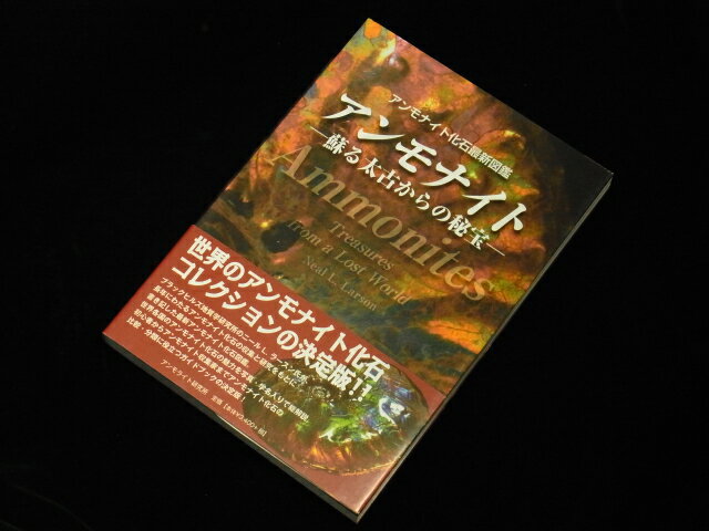 アンモナイト最新化石図鑑 アンモナイト 蘇る太古からの秘宝...:ammolite:10000028