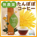 無農薬栽培 たんぽぽコーヒー たんぽぽ茶 30ティーバッグ入り【3袋以上で送料無料】【たんぽぽコーヒー】【たんぽぽ茶】【タンポポコーヒー】【タンポポ茶】
