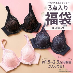 クーポン対象★アウトレット★[<strong>トリンプ</strong>]WEB限定 <strong>ブラジャー</strong>単品3点入り福袋【B,C,D,E,Fカップ】 レディース 2023 2024 下着 インナー 3点セット