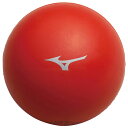 ミズノ(MIZUNO) P3JBA04262 サッカー リフティングボール(STEP2) 20SS