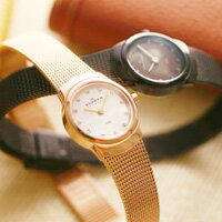 SKAGEN（スカーゲン　レディース）　メッシュベルト腕時計　502XS【送料無料】