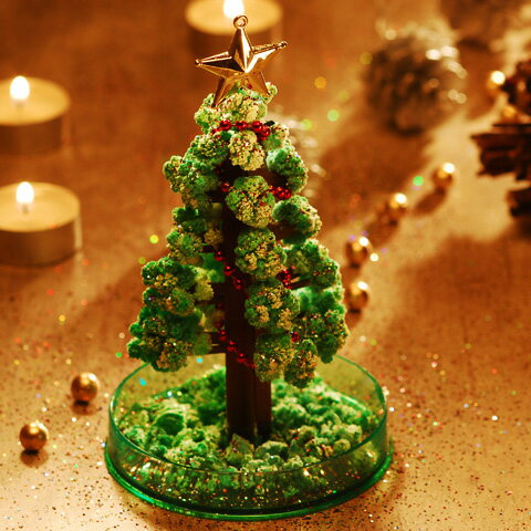 クリスマス　マジッククリスマスツリー