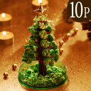 クリスマス　マジッククリスマスツリー　10個セット【送料無料】