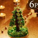 クリスマス　マジッククリスマスツリー　グリーン　6個セット【送料無料】