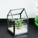 house terrarium ハウステラリウム ミニ