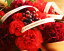2011母の日　魔法のお花♪　（3種類のシアワセのトマト種つき。）(母の日/カーネーション/花束/アレンジメント/フラワー)