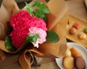 2013母の日　そのまま飾れる魔法のミニブーケ＆お菓子セット（ベビーリーフ3種のタネ付）母の日/花/フラワーギフト/アレンジメント/カーネーション　/アンジェ