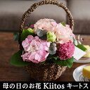 母の日 花 Kiitos キートス ギフト アレンジメント 花束 鉢植え 母の日 花 Kiitos キートス ギフト アレンジメント 花束 鉢植え