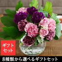 母の日 花 Kiitos キートス 選べるギフトセット ギフト アレンジメント 花束 鉢植え 母の日 花 Kiitos キートス 選べるギフトセット ギフト アレンジメント 花束 鉢植え