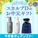 スカルプDボーテ ボリューム セット(シャンプー&トリートメント パック)| 育毛シャンプー アンファー 薬用スカルプシャンプー スカルプケア 女性用 レディース 薬用シャンプー 薄毛 抜け毛 ノンシリコン 薬用スカルプ ふけかゆみ ノンシリコンシャンプー メディカル