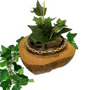 ココナッツの小物入れ 椰子のプランター 植木鉢【プランター 植木鉢】 アジアン 雑貨 バリ 雑貨 タイ 雑貨 アジアン インテリア