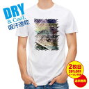 【お買い物マラソン】 釣り Tシャツ アウトドア チヌ(クロダイ) 12カラーズ 釣り 魚 ルアー T シャツ メンズ 半袖 ロゴ 文字 春 夏 秋 インナー 安い 面白い 大きいサイズ 洗濯 ポリエステル 送料無料