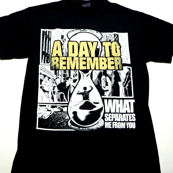 【2012年2月末日新入荷！】A DAY TO REMEMBERア・デイ・トゥ・リメンバーWHAT SEPERATES... オフィシャルバンドTシャツ
