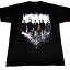 /LINKIN PARK リンキンパークB&W PICTURE オフィシャル バンドTシャツ / 2枚までメール便対応可 / あす楽対応