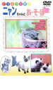 【バーゲンセール】【中古】DVD▼どうぶつ大好き ニャンちゃんとあ・そ・ぼー