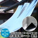 【送料無料】【暑さ対策】日よけ 防暑暗幕シート【裏黒】【遮光率100%】ロールスクリーン 幅261~300cm 高さ50~170cm(日よけ/サンシェード/スクリーン/UVカット/熱射対策/シェード/遮光ネット) 高機能 西日対策【RCP】【02P03Dec16】【防災】