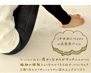 ホットカーペット対応ラグ/セレーナ
