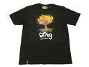 【LRG Tシャツどれでも2枚お買上で送料無料】VISION TREE TEE BLACK LRG(エルアールジー)Tシャツ!【YDKG-kj】あす楽対応