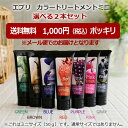 エブリ カラートリートメント ミニ(50g)お試し2本セットヘアカラー カラーリング カラー剤 髪染め トリートメント カラー 白髪染め 茶髪 ヘアケア 色落ち 退色 褪色 簡単 女性 男性 髪色 ほんのりカラー アッシュ 少量 日本製 アンナドンナ annadonna エブリ every